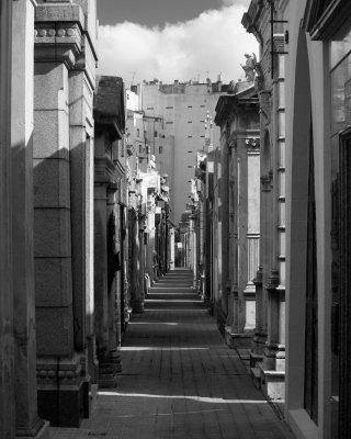 _MG_9282.jpg