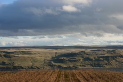 Maryhill Winery #1