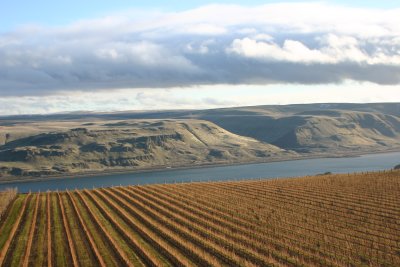 Maryhill Winery #2