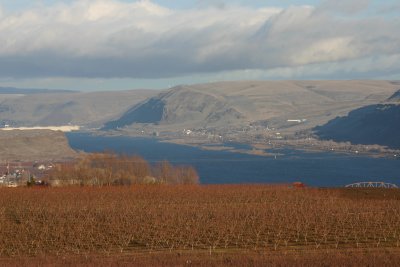 Maryhill Winery #3