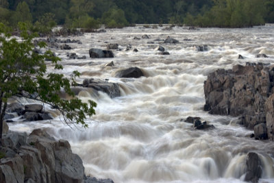 CRW_7089.jpg