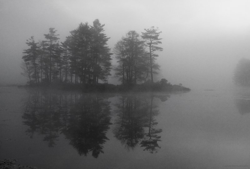 Island in the Fog.jpg
