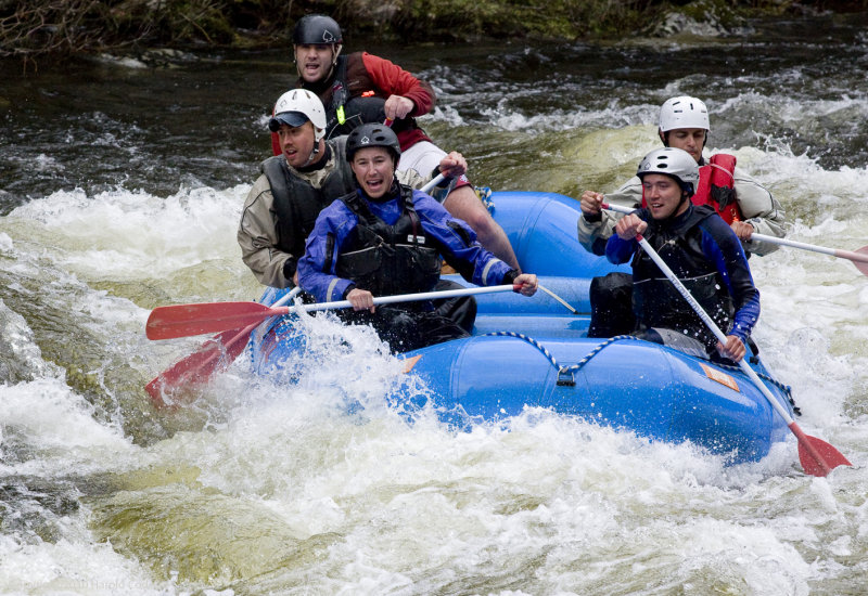 Rafters 2.jpg