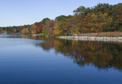 Autumn Lake.jpg