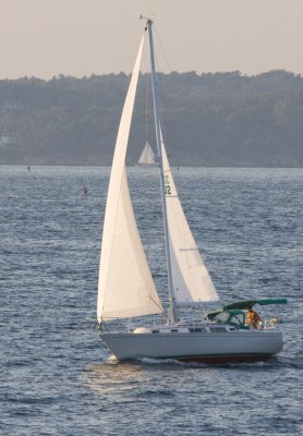 Sailboat Returning Home.jpg