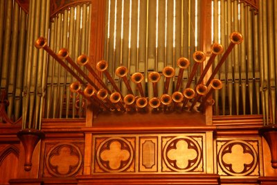 Triumph of organ-St Patricks melbourne