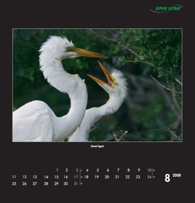 kalender03-konv-8.jpg