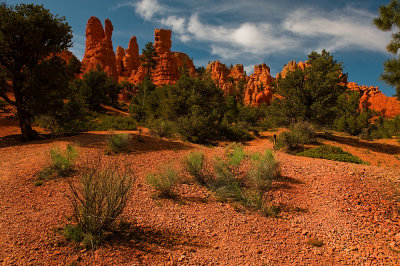 Utah - Red Canyon 2