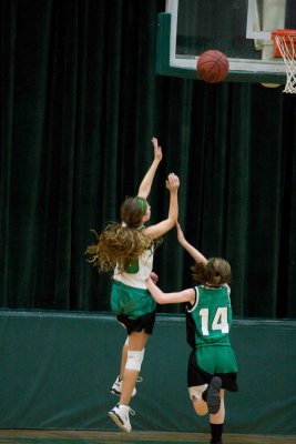 IMG_9446.JPG