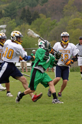 IMG_7172_edited-1.JPG