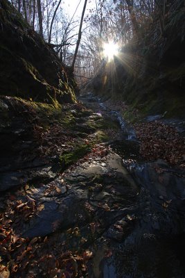 An afternoon hike