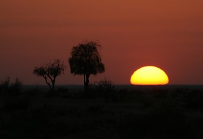 Sunset in the desert