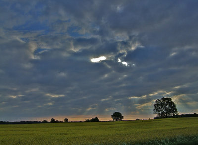 Morning has broken