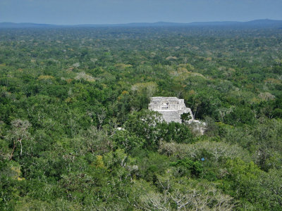 Maya ruins at Calakmul