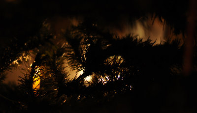 Xmas_02.jpg