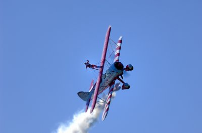 Guinot Wing Walkers