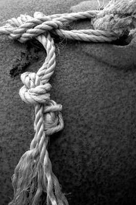 Frayed Rope, Plockton, Scotland