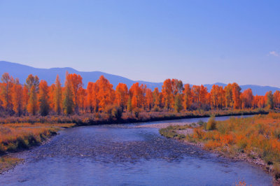 Blues and golds in Autumn shades.jpg