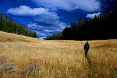 Side canyon on route to Sleeping Indian.jpg