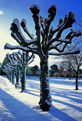 Banchory--War Memorial-Park