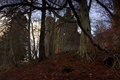 Corse Castle through the trees