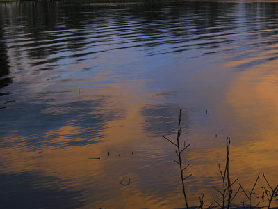 Backwater reflections