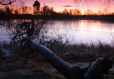 Sunrise  -  Loch Kinord