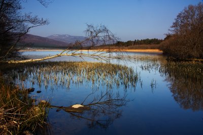 Loch Davan Near Dinnet