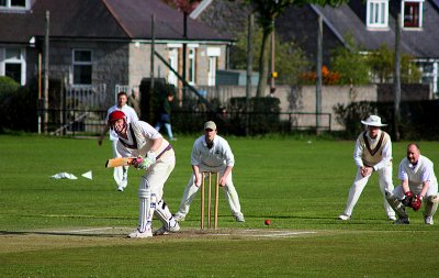 IMG_3113.JPG