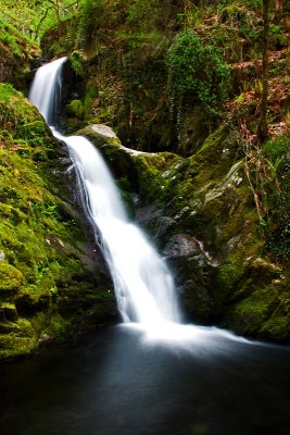 Dolgoch Falls - Near Abergynolwyn Mid Wales