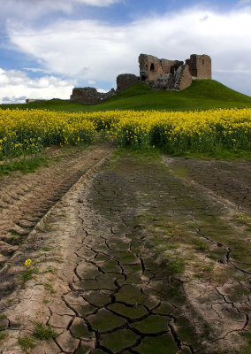 Polygonal Mud Cracks at Duffus Castle