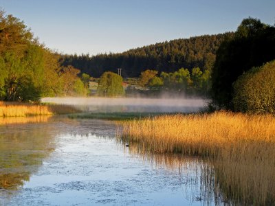 Misty Loch