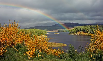 Loch Laggan