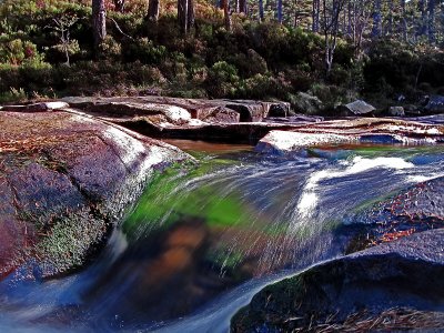 Tanar Water  - Up close