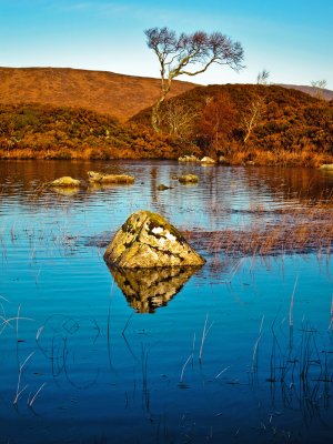 Loch Na Achlaise  Rock & Tree