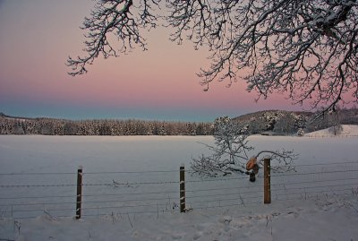 Glen Tanar Earth Shadow  & Belt of  Venus