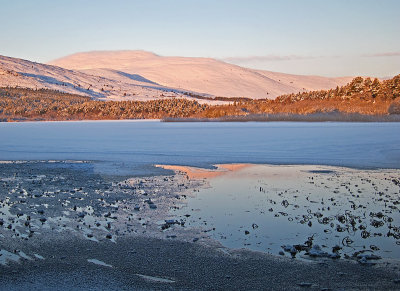 On thin ice - Loch Davan