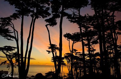 San Francisco & Monterey