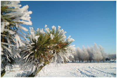 Winter