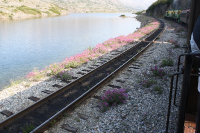 narrow gauge track.JPG