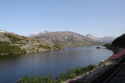 top of the mtn. at white pass.JPG