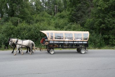 covered wagon tour returning to lodge.JPG