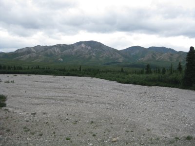 scenery on the bus trip to Denali dry river bed.JPG