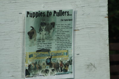 sign about pups.JPG