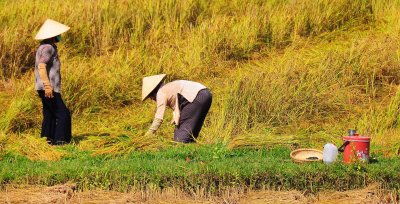 VietNam 09.jpg