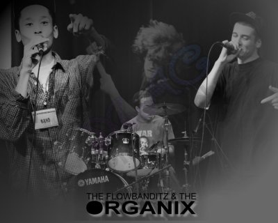 The Flowbandits & The Organix