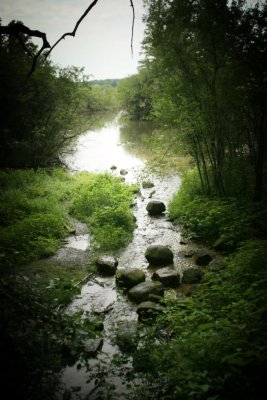 Arboretum: University of Wisconsin Madison