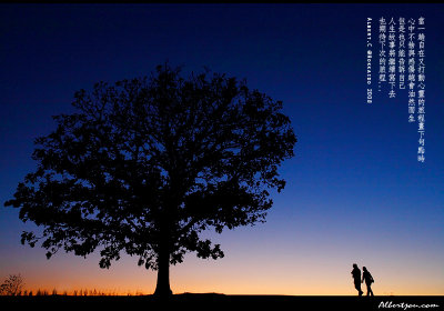 2008jp_d6slide