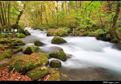 oirase_025.jpg