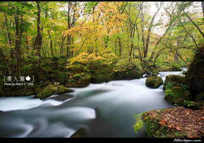 oirase_027.jpg
